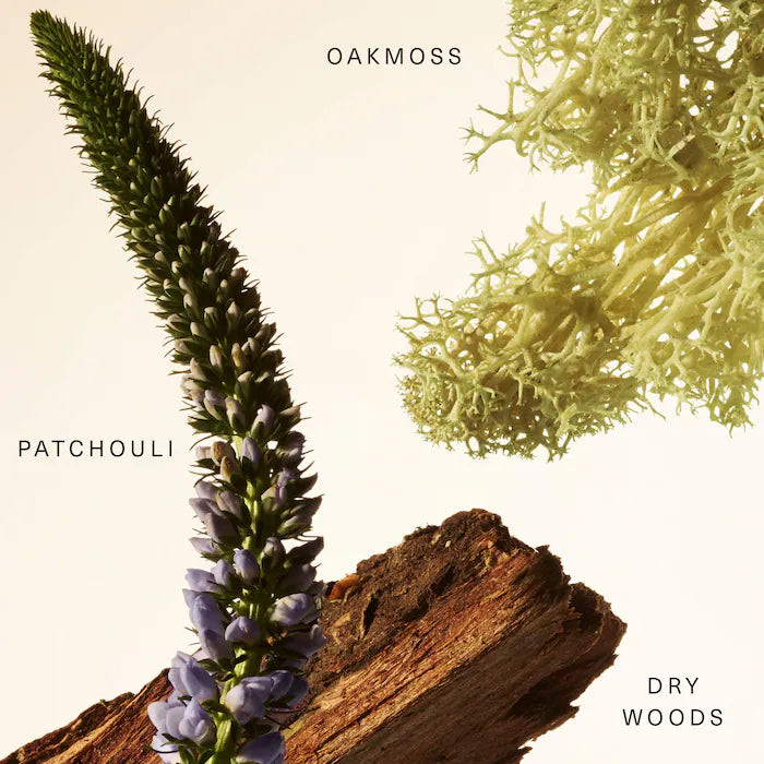 Woody Oak Rare Fragrance Layering Balm Preventa
