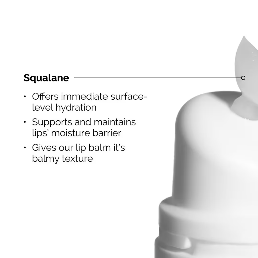 Squalane + Amino Acids Lip Balm